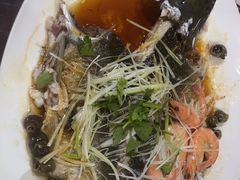 -东鸽皇(奥园·中环广场店)