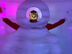 -世界之窗阿尔卑斯冰雪世界