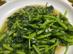 蒜蓉茼蒿-禄源饭店