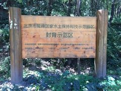 -北京鹫峰国家森林公园
