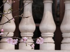 -天津意大利风情旅游区