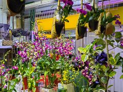 -三旗百汇商品城