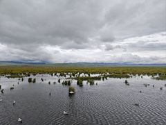 -花湖生态旅游区
