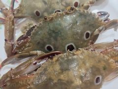 -吉布鲁牛排海鲜自助(芙蓉万家丽店)