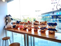 -南京Hallo宠物乐园·哈罗犬舍·柴犬繁育基地