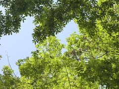 -文武王氏烧饼·无矾油条(西溪路店)