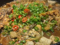 -老板恋上鱼(印象城店)