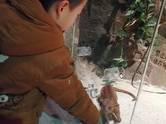 -zoonana室内动物园(东方福来德店)