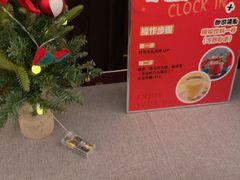 -秀儿四九城·新京菜(亚运村鸟巢店)