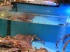 -阿伟海鲜楼·福建菜(延寿店)