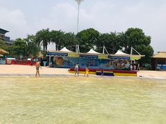 -武汉玛雅海滩水公园