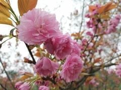 -贵阳市花溪国家城市湿地公园