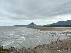 -椰风寨