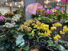 -双季花艺园艺市场(浦东店)