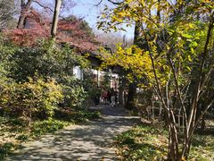 -宋宴(虎跑店)