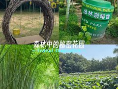 -同里国家湿地公园
