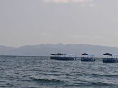 -鲜菌江湖正宗野生菌火锅