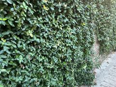 -欢乐迪KTV(观音桥未来国际店)