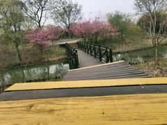 -梁鸿国家湿地公园
