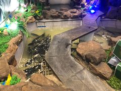 -春盛渔府(牛首山店)