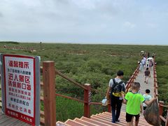 -北海金海湾红树林生态旅游区