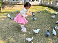 -南普陀素菜馆