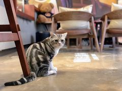 -咖法森林·咖啡  酒吧(天河店)