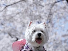 -龙美术馆(西岸馆)