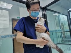 -嘉馨宠物医院·CT影像转诊·心脏科·犬猫全科诊疗中心(下沙大学城院区)
