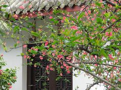 -棠湖公园