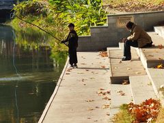 -泰州凤城河风景区-泰山公园