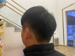 -YESIDO椰岛造型