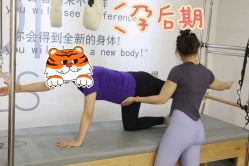 -1001普拉提运动
