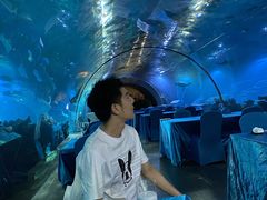-海棠湾洲际-涛·海底餐厅·美人鱼·自助餐·海底隧道