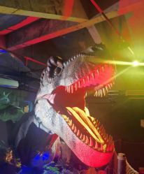 -恐龙探索乐园(磁器口店)