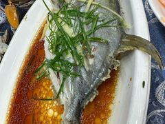 清蒸海鱼-波记美食店·现捞海鲜