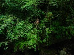 -西岭雪山大飞水景区