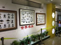 -上海昆虫博物馆