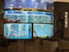 -海都六福酒家(世博广场店)