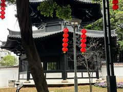 -荔湾湖公园