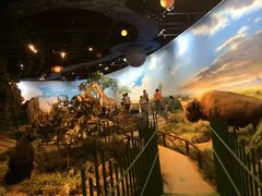 -陕西自然博物馆