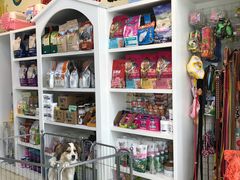 -米苏动物医院·犬猫专科·骨科外科内窥镜