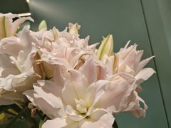 -南堂馆·新川菜(春熙路店)