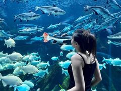 -波塞冬旅游度假区