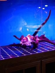 -青木造型HAIR·あおき髪を刈る潮人店