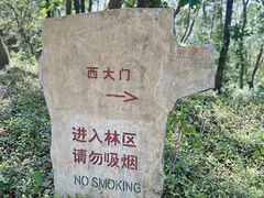 -上海佘山国家森林公园天马山园