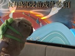 -屋有岛沉浸游戏旗舰店(中山公园店)