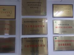 -北京中医药大学东方医院(方庄院区)