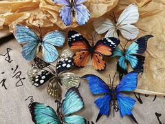 -金夫人化妆摄影职业培训学校