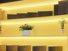 -梵猫·新养生(加州广场店)